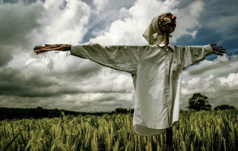 strawman, farm, scarecrow