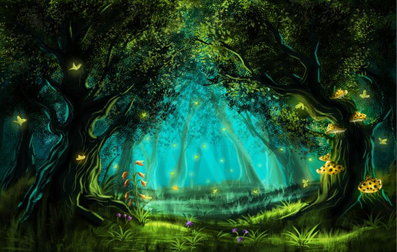 forest, light, stars, environmental