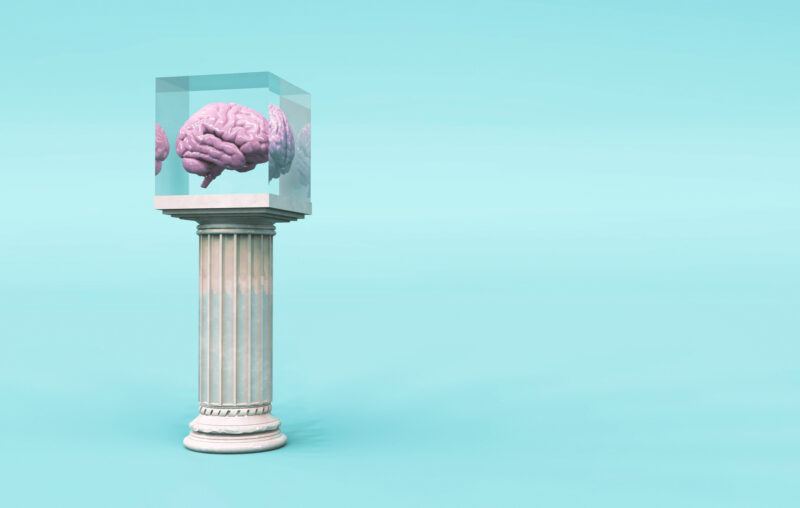 brain, pedestal
